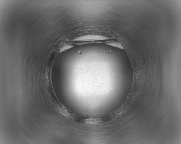 X0000058770373200510171232
