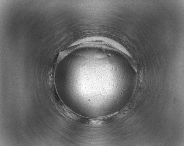 X0000058770376200510171233
