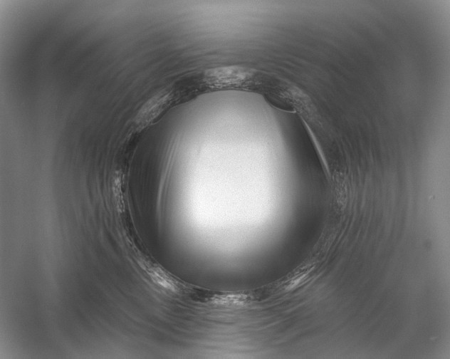 X0000058770378200510171233