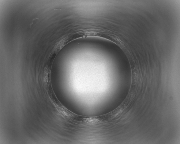 X0000058770379200510171233