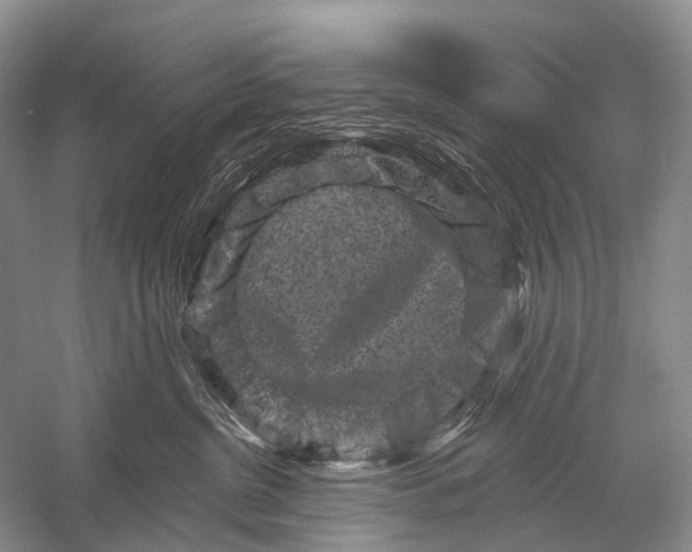 X0000058770380200510171233