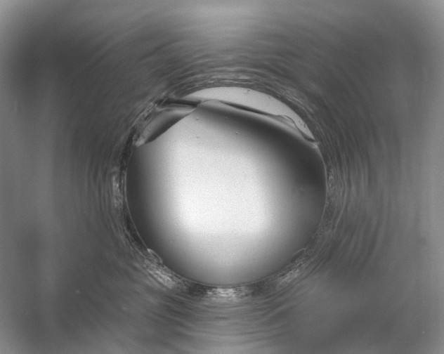 X0000058770381200510171233