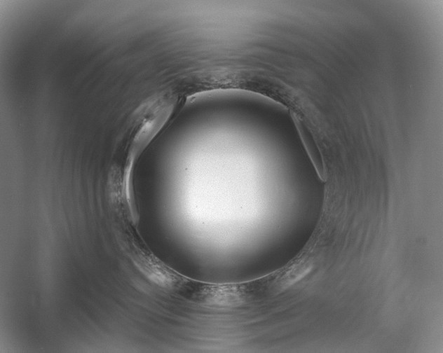 X0000058770384200510171233