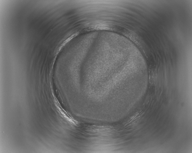X0000058770390200510171232