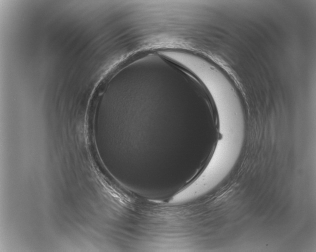 X0000058770391200510171232