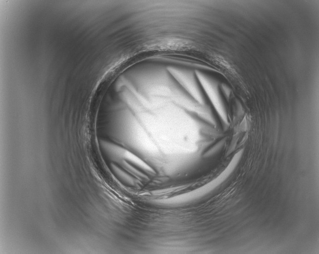 X0000058770392200510171232
