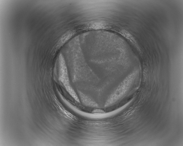X0000058770393200510171232