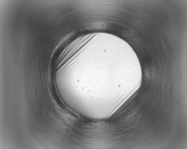 X0000058770396200510171232