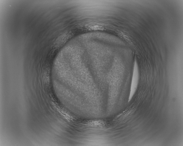 X0000058770402200510171232