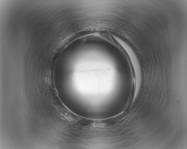 X0000058770403200510171232