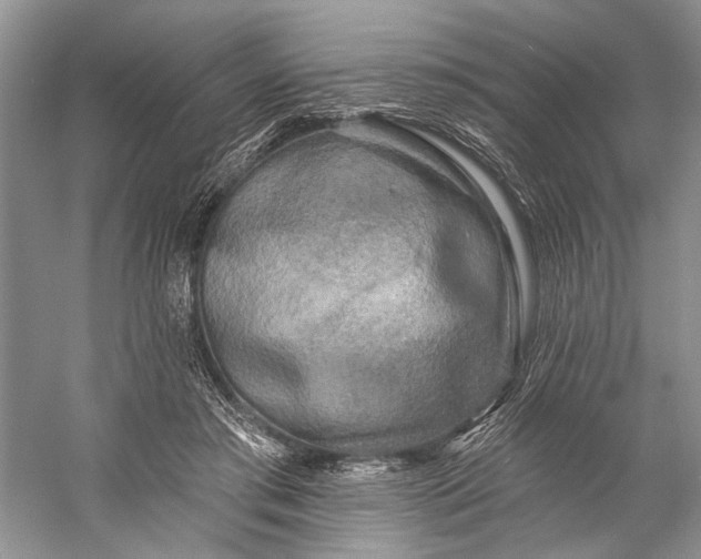 X0000058770405200510171231