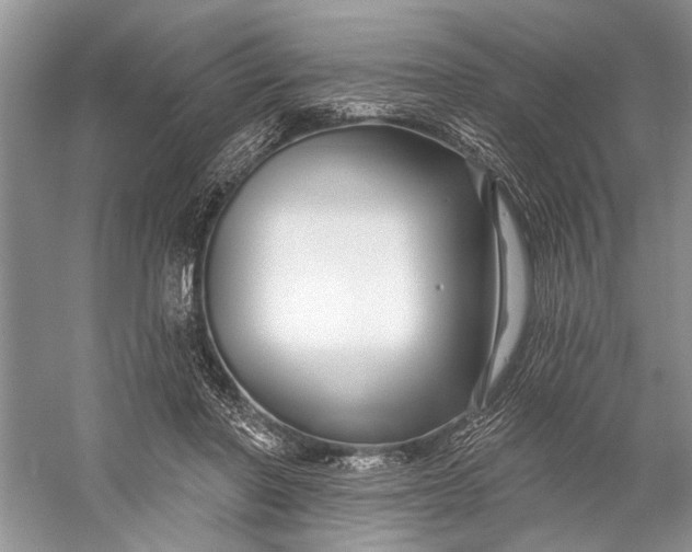 X0000058770406200510171231
