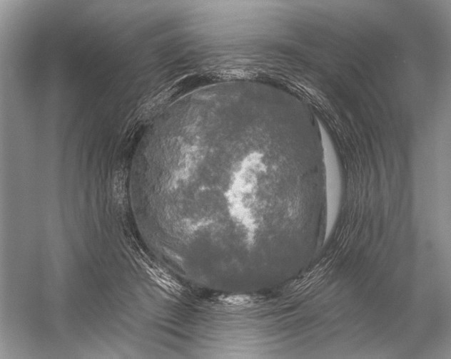 X0000058770409200510171231