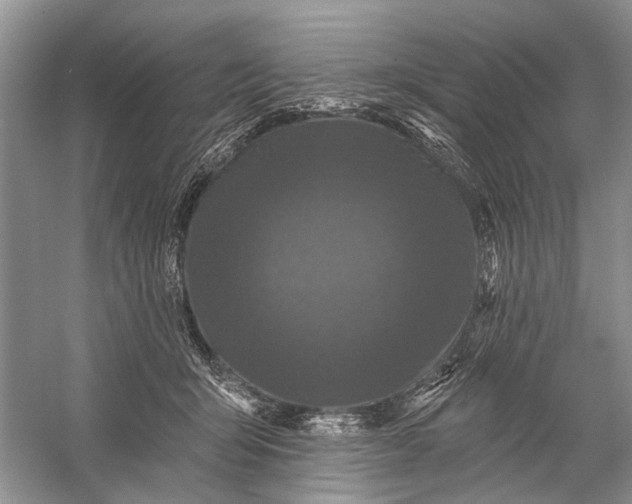X0000058770415200510171231