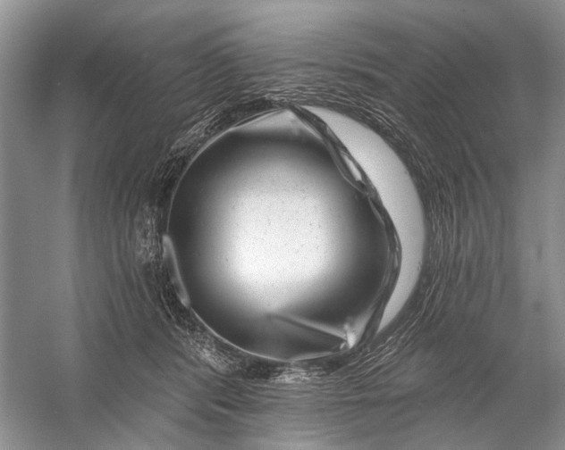 X0000058770416200510171231