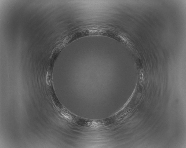 X0000058770419200510171231