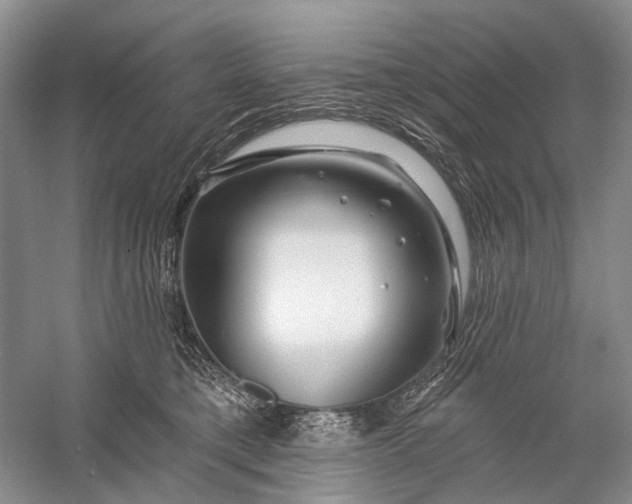 X0000058770421200510171231