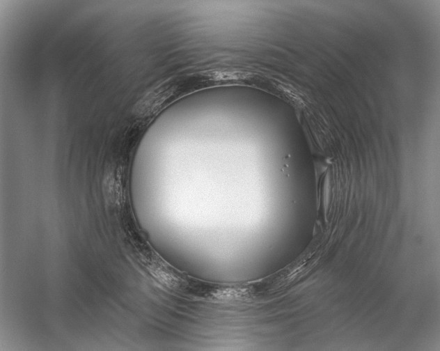 X0000058770422200510171231