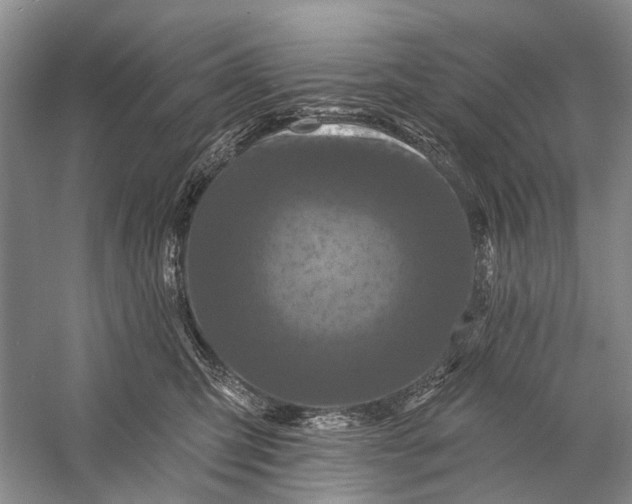 X0000058770423200510171231