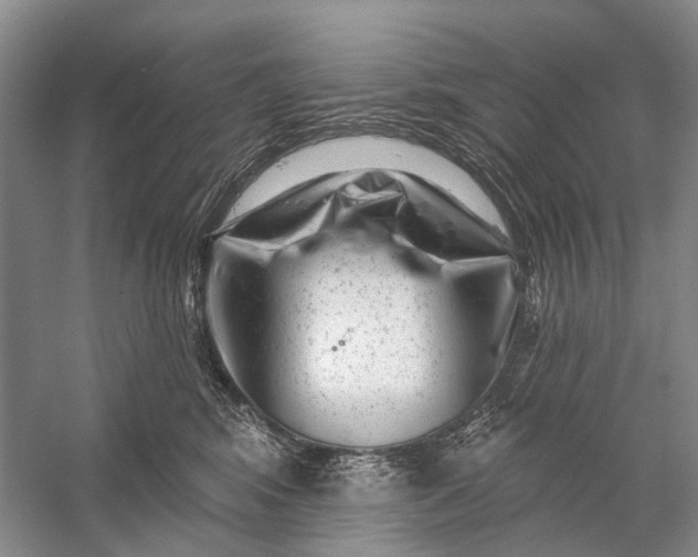 X0000058770424200510171231