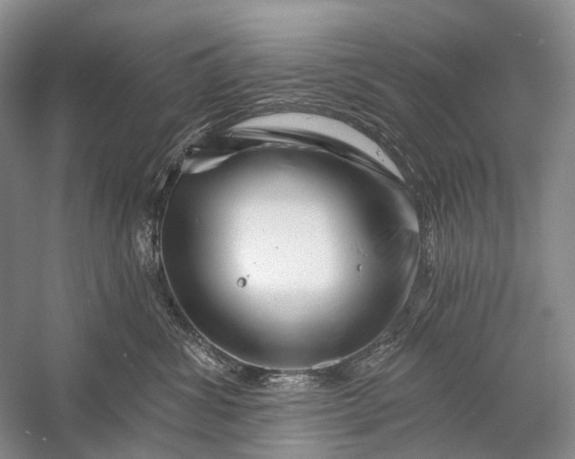X0000058770428200510171231
