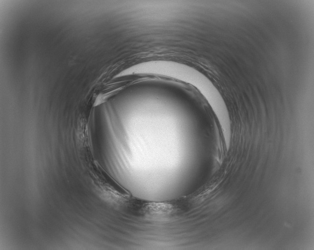 X0000058770429200510171231