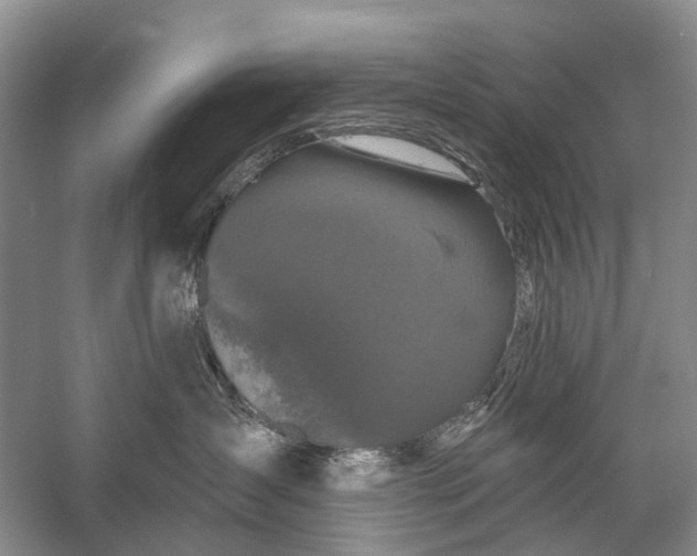 X0000058770431200510171231
