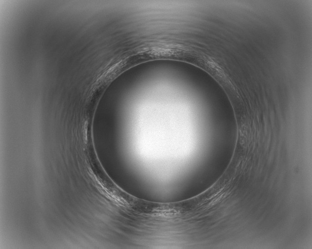 X0000058770454200510171231