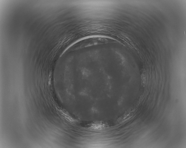 X0000058770458200510171231