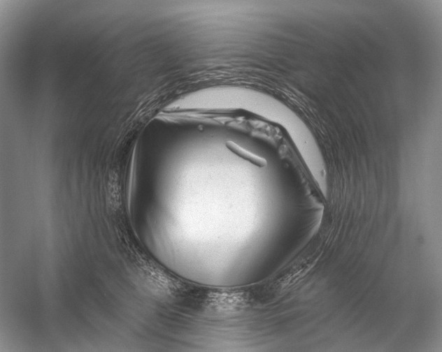 X0000058770469200510171231
