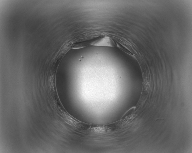 X0000058770473200510171231