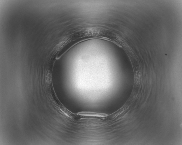 X0000058770474200510171231