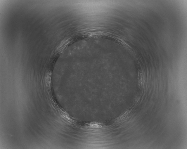 X0000058770475200510171231