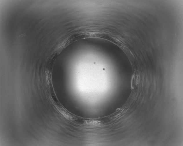 X0000058770476200510171231
