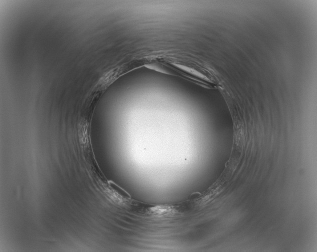 X0000058770477200510171231