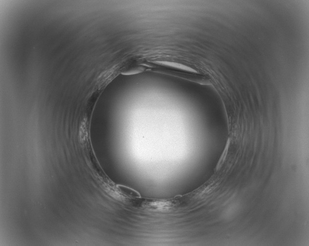 X0000058770478200510171231