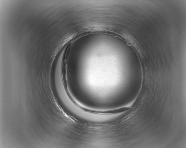 X0000058770485200510171230