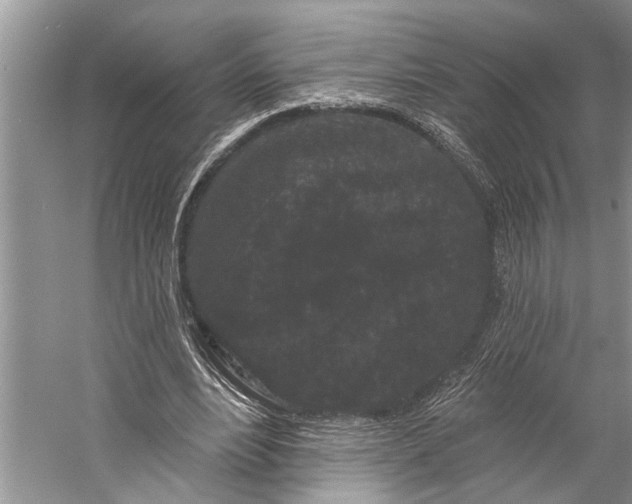 X0000058770488200510171230