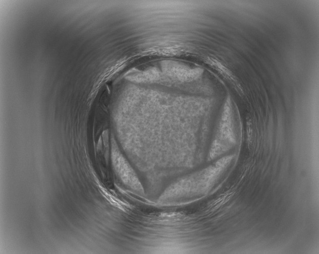 X0000058770493200510171230