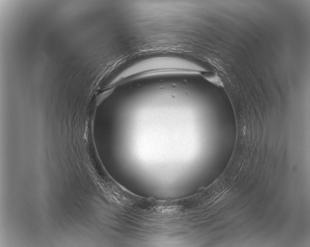 X0000058770495200510171230
