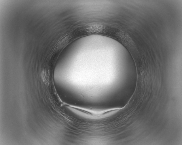X0000058770498200510171230