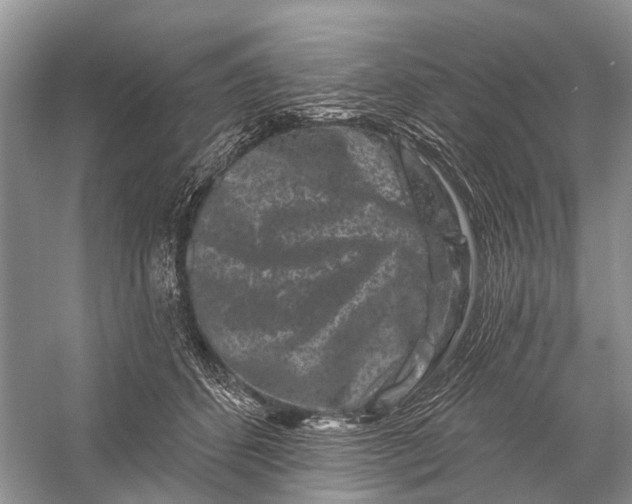 X0000058770512200510171230