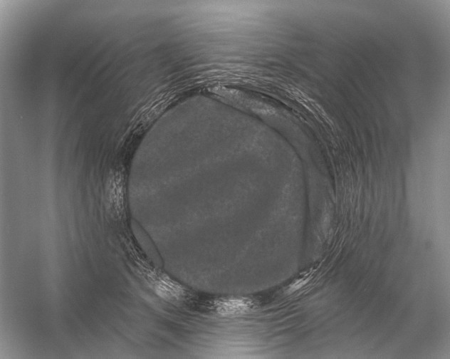 X0000058770513200510171230