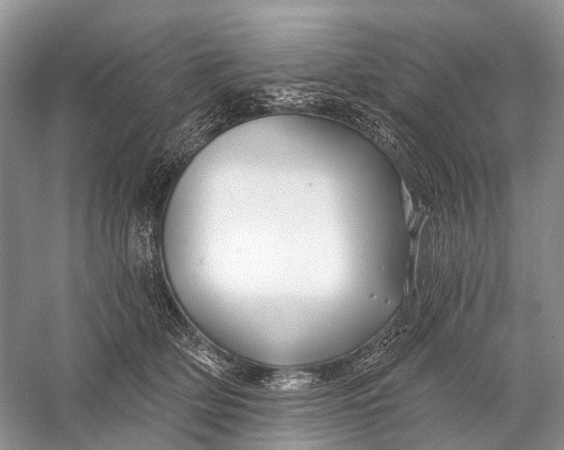 X0000058770514200510171230
