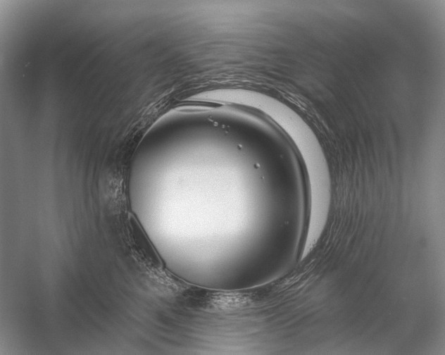 X0000058770521200510171229