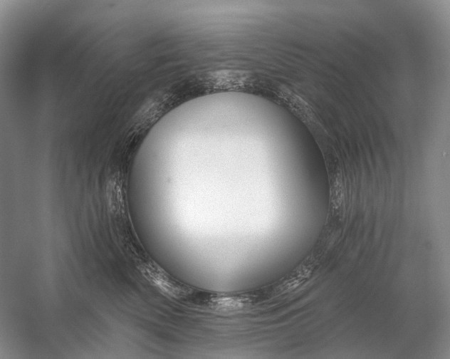 X0000058770522200510171229