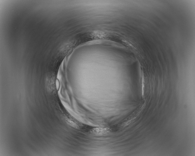 X0000058770526200510171229