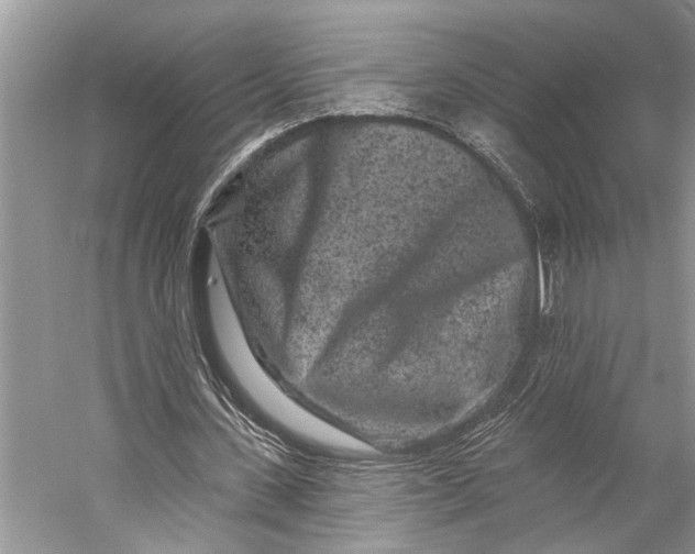 X0000058770531200510171229