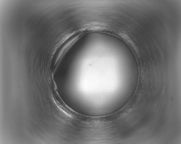 X0000058770533200510171229