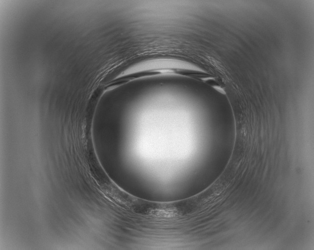 X0000058770548200510171229